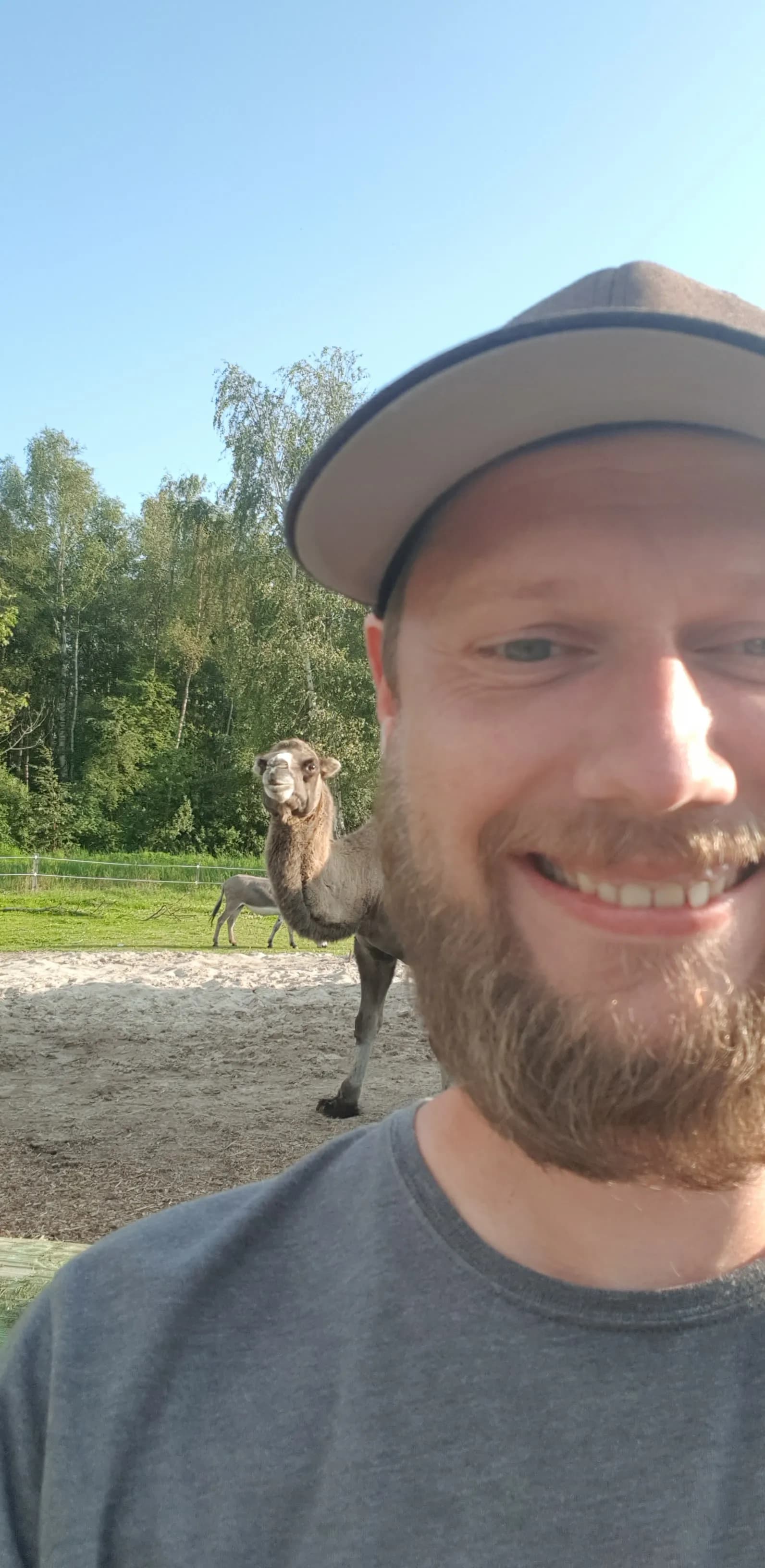 Halfdan Løvås 3